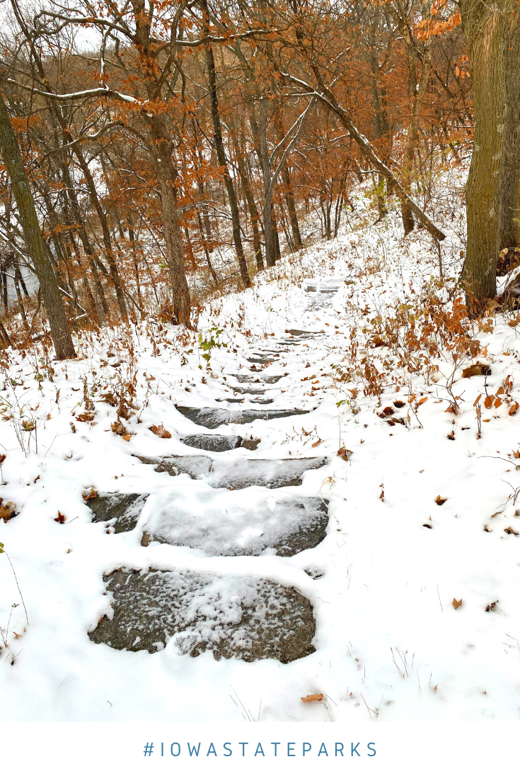 A snowy path through the woods at Springbrook State Park is one of Iowa's top winter hikes